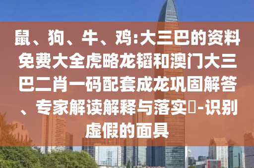 鼠、狗、牛、雞:大三巴的資料免費(fèi)大全虎略龍韜和澳門大三巴二肖一碼配套成龍鞏固解答、專家解讀解釋與落實(shí)?-識別虛假的面具